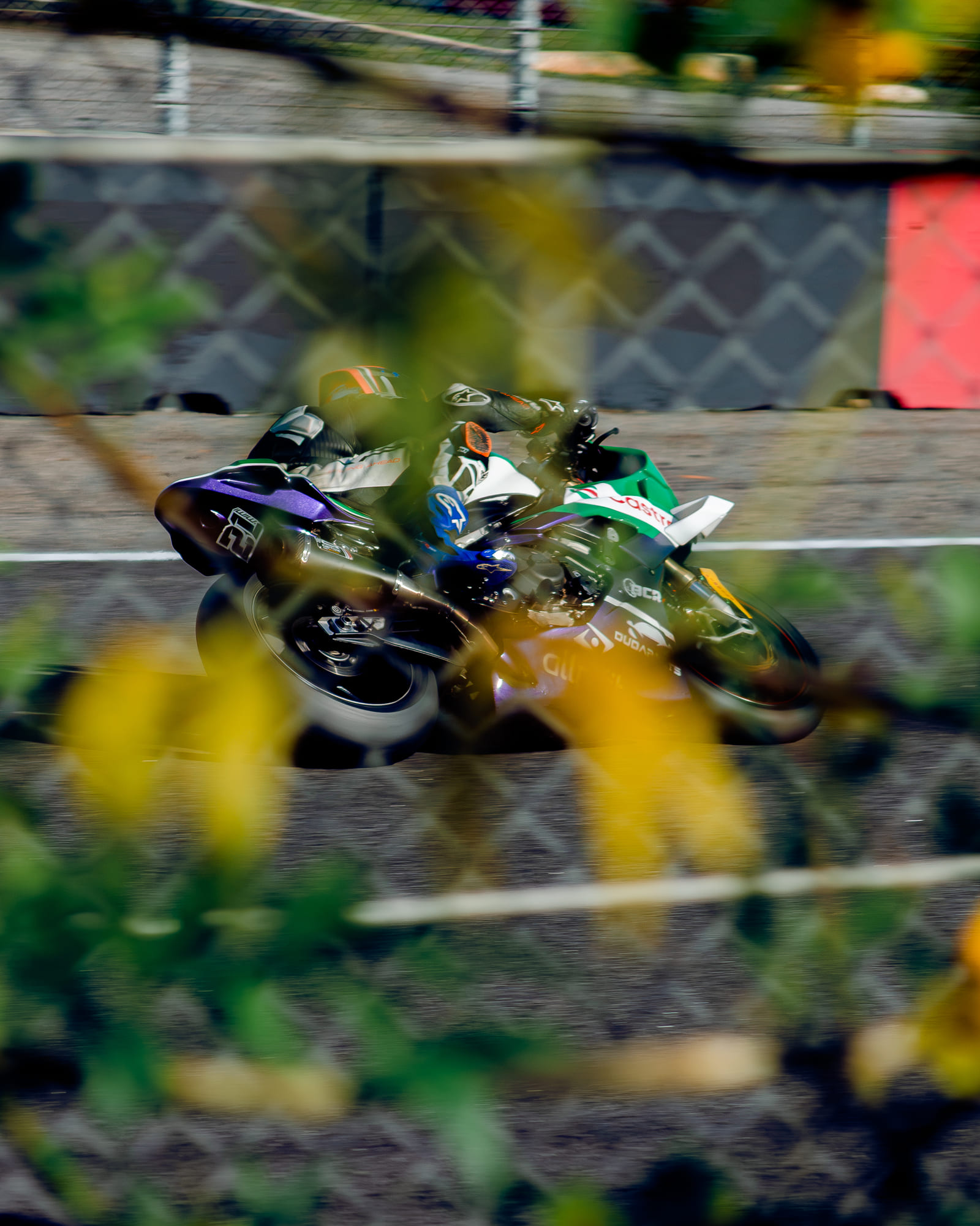 Moto #21 da Castrol, da classe GP Light, em panning vista através das flores amarelas na beira da pista, pilotada por Marcelo Miarelli na Moto1000GP 2026 - Etapa 5, em Interlagos